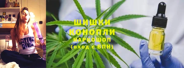 прущие грибы Михайловка