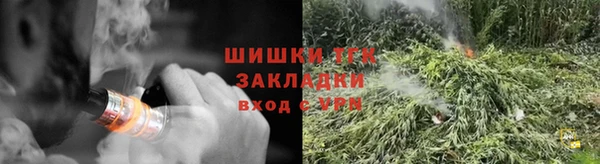 прущие грибы Михайловка