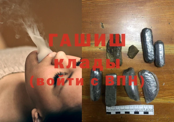 прущие грибы Михайловка