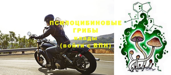 прущие грибы Михайловка