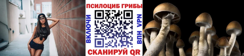 Псилоцибиновые грибы MAGIC MUSHROOMS  Ханты-Мансийск 